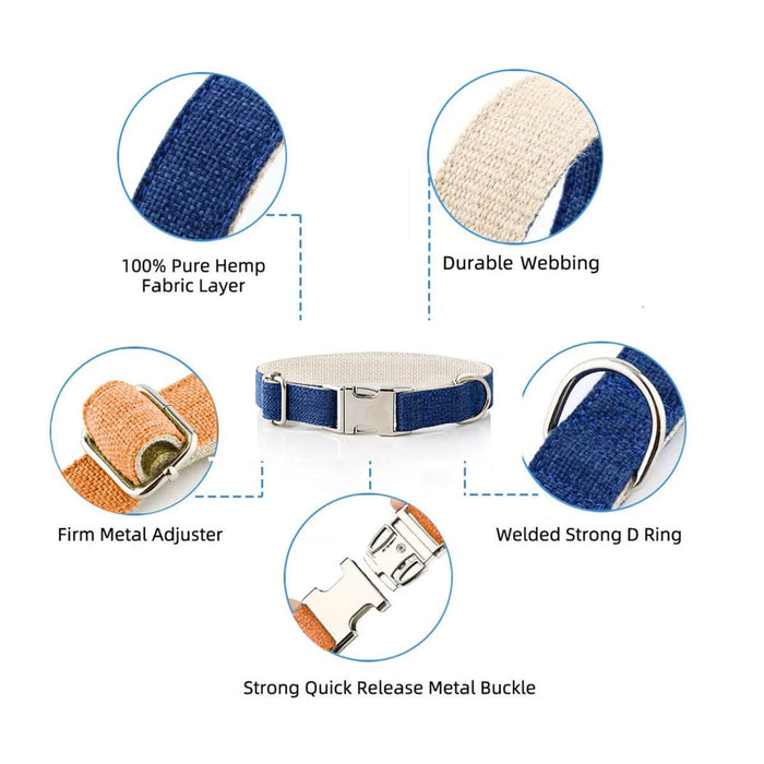 Dog collar with features highlighted on a white background.