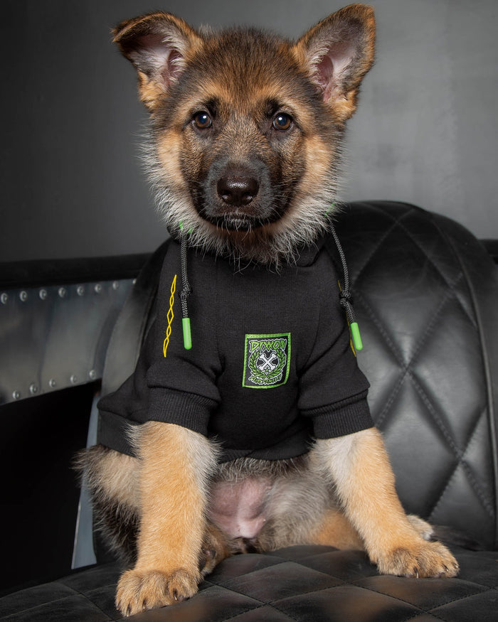 Perro Pinstripe Dog Hoodie - Dixxon Flannel Co.