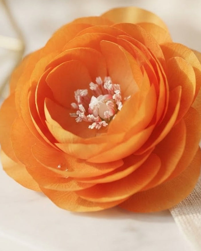 Orange ranunculus decorative floating flower with white stamens