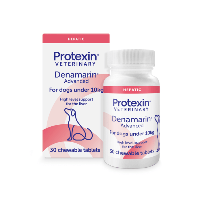 Protexin Veterinary Denamarin Advanced hepatic supplement for dogs under 10kg, shown with its retail box and white plastic bottle on a clean white background.