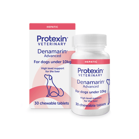 Protexin Veterinary Denamarin Advanced hepatic supplement for dogs under 10kg, shown with its retail box and white plastic bottle on a clean white background.