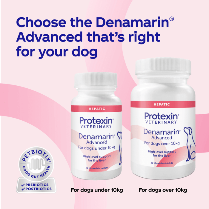 Two bottles of Protexin Veterinary Denamarin Advanced on a pink background with text about choosing the right product for dogs.