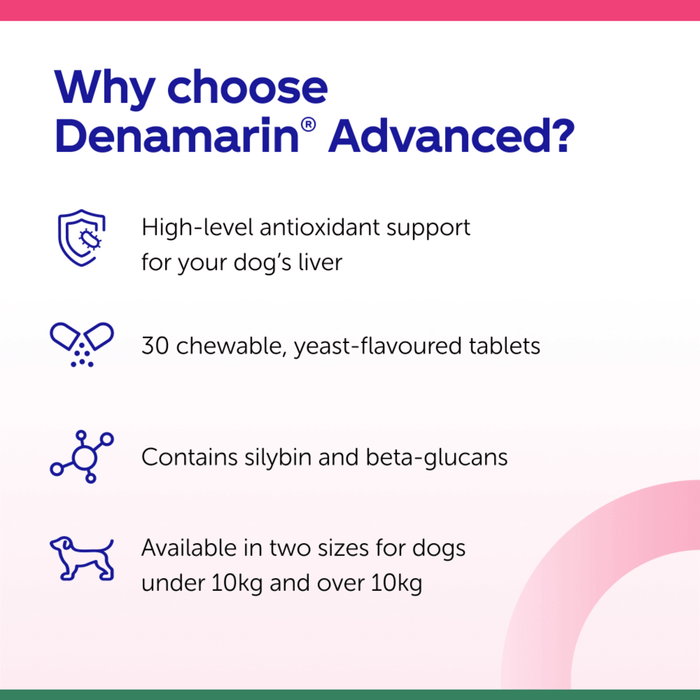 Promotional graphic for Denamarin Advanced dog supplements, featuring text and icons highlighting benefits such as high-level antioxidant support, 30 chewable tablets, and suitability for dogs under 10kg and over 10kg.
