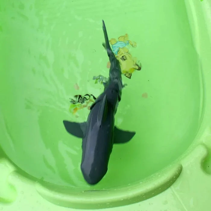 Remote Control Shark