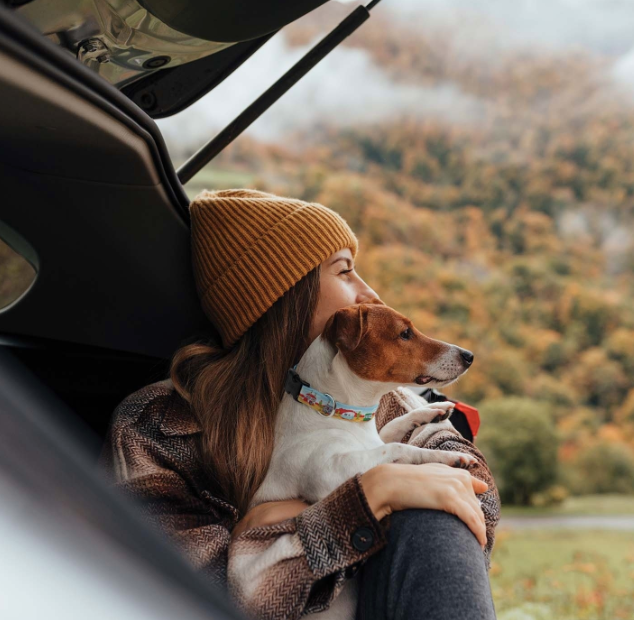 CAMP-OUT-SPORT-DOG-COLLAR-LEASH