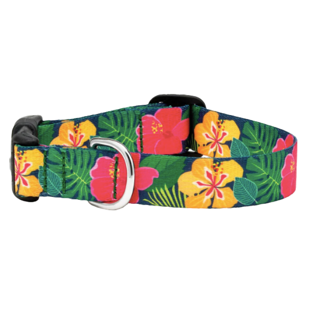 HIBISCUS-SPORT-DOG-COLLAR