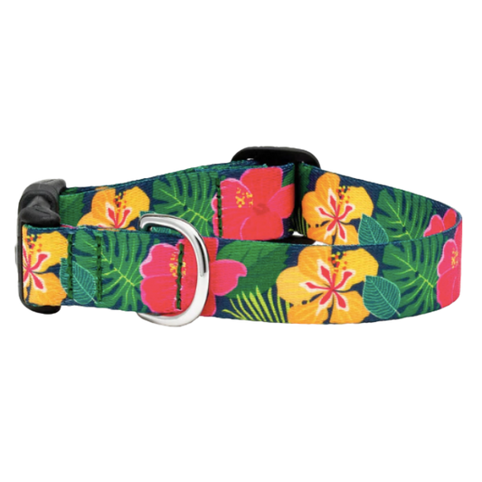 HIBISCUS-SPORT-DOG-COLLAR