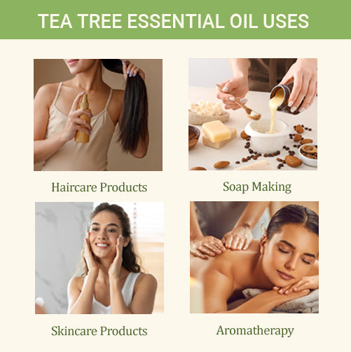 Tea Tree Oil + Rosemary Oil - Hair Growth Power Duo