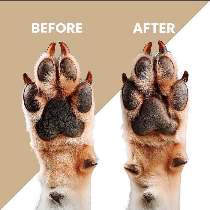 TELLTAILS Dog Paw Balm Combo | Heals & Hydrates Cracked Dog Paws | Pack of 2