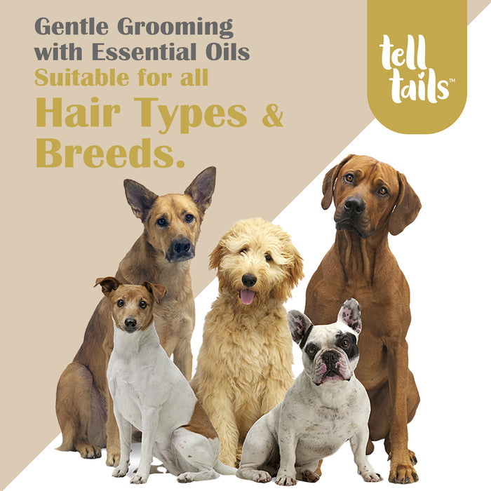 TELLTAILS Dog Paw Balm Combo | Heals & Hydrates Cracked Dog Paws | Pack of 2