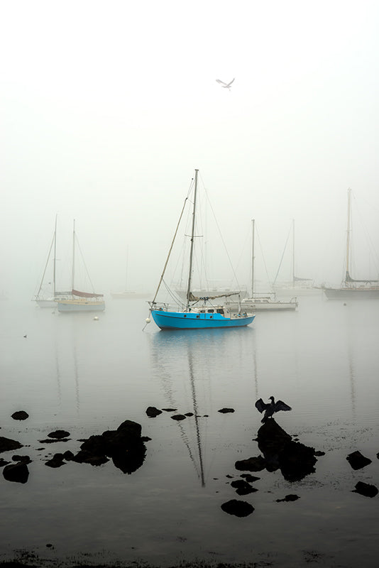 Williamstown Fog | Lady Liberty |  by Nick Psomiadis