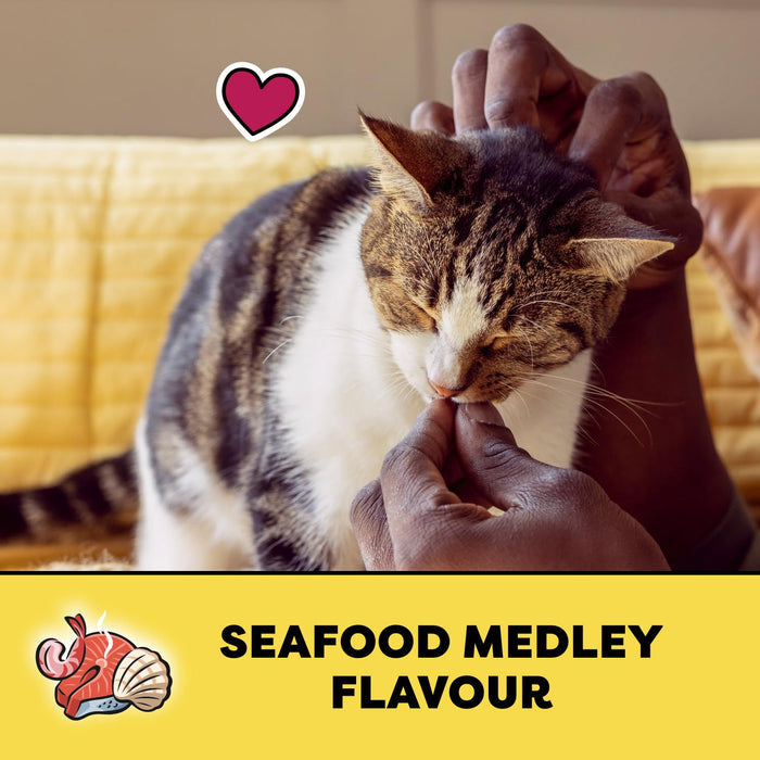 TEMPTATIONS Cat Treats, Seafood Medley Flavour, 454g Tub