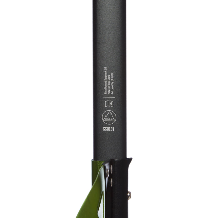 Envy Green